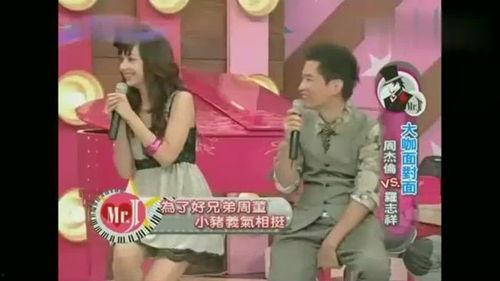 小猪节目爆料视频大全集,揭秘幕后故事与精彩瞬间